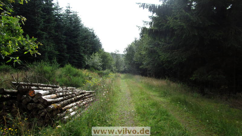 16quellenpfad19.jpg