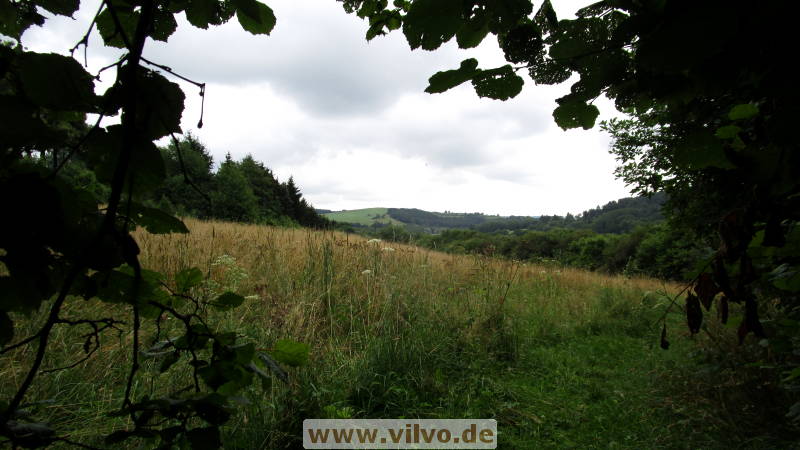 16quellenpfad28.jpg