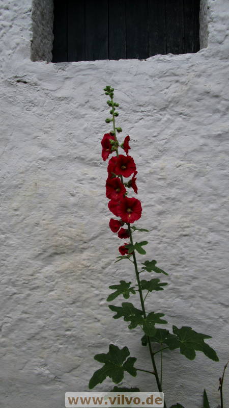 16quellenpfad31.jpg
