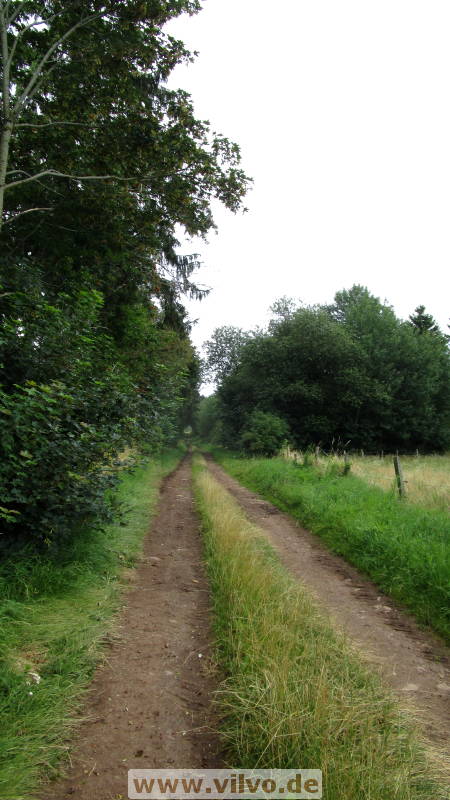 16quellenpfad35.jpg