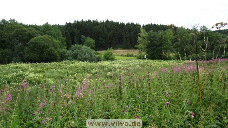 16quellenpfad36.jpg