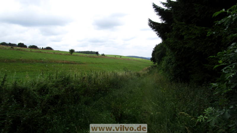 16quellenpfad37.jpg