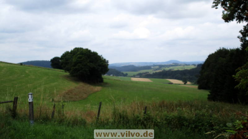 16quellenpfad38.jpg