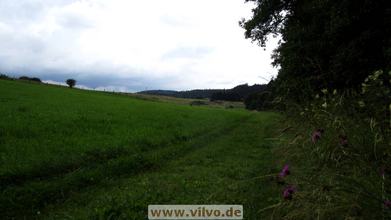 16quellenpfad40.jpg
