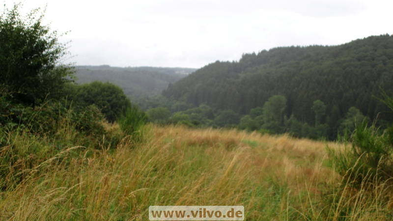 16quellenpfad43.jpg