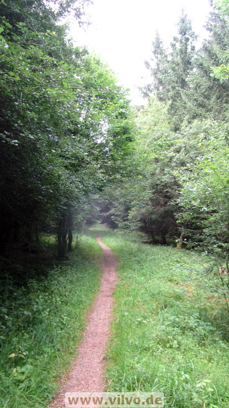 16quellenpfad44.jpg