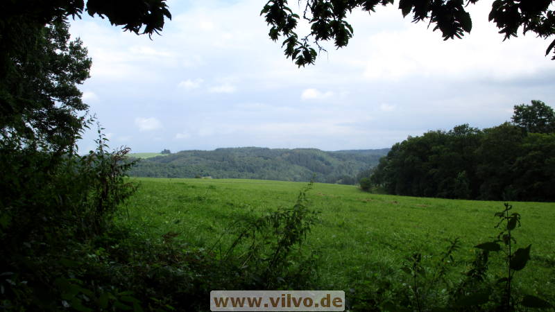 16quellenpfad47.jpg