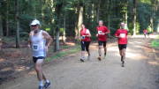 16Hambach111.jpg