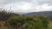 16rursee128.jpg