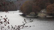 16rursee130.jpg