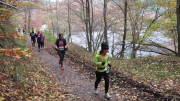 16rursee545.jpg
