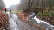 17NEU06.jpg