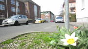 17DNSTadtlauf0028.jpg