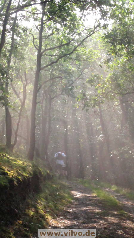 17altenahr04.jpg 17altenahr04.jpg