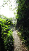 17altenahr05.jpg