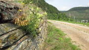 17altenahr07.jpg