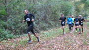 17hambachwald014.jpg