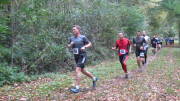 17hambachwald017.jpg