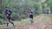 17hambachwald021.jpg