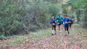 17hambachwald022.jpg