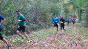 17hambachwald023.jpg