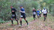 17hambachwald027.jpg