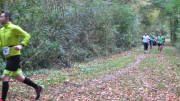 17hambachwald029.jpg