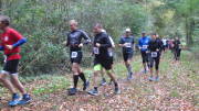 17hambachwald034.jpg