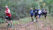 17hambachwald042.jpg