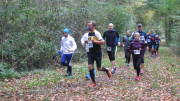 17hambachwald043.jpg