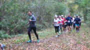 17hambachwald044.jpg