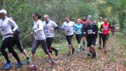 17hambachwald046.jpg