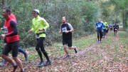 17hambachwald047.jpg