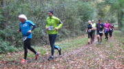 17hambachwald049.jpg