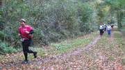 17hambachwald055.jpg