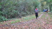 17hambachwald061.jpg