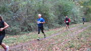 17hambachwald093.jpg