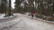 18eschweilerLSG070.jpg