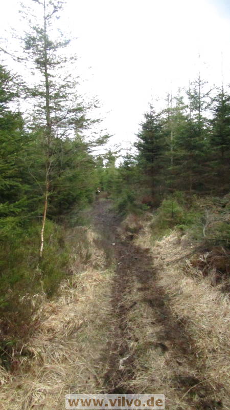 18idylles06.jpg