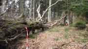 18idylles11.jpg