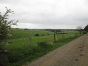 18breinig002.jpg