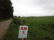 18breinig003.jpg