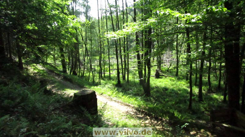 18HNAG14.jpg 18HNAG14.jpg