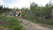 18vennlauf133.jpg