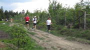 18vennlauf190.jpg