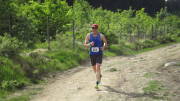 18vennlauf224.jpg