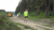 18vennlauf264.jpg