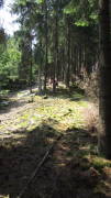 18tdc06.jpg