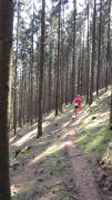 18tdc08.jpg