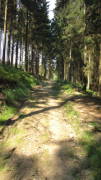 18tdc09.jpg